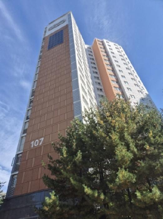 사진 8