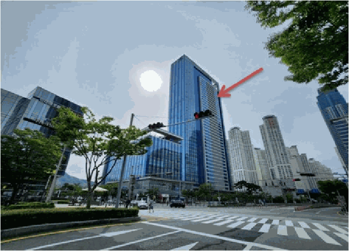 사진 10
