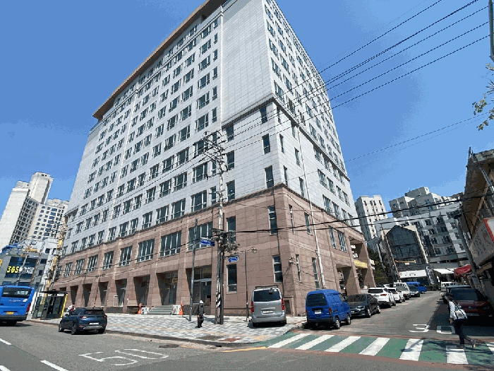 사진 11