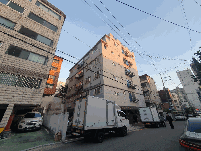 사진 5