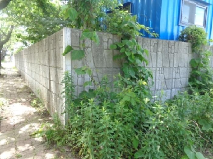 사진 2