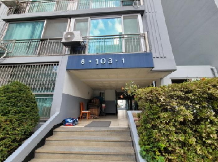 사진 10
