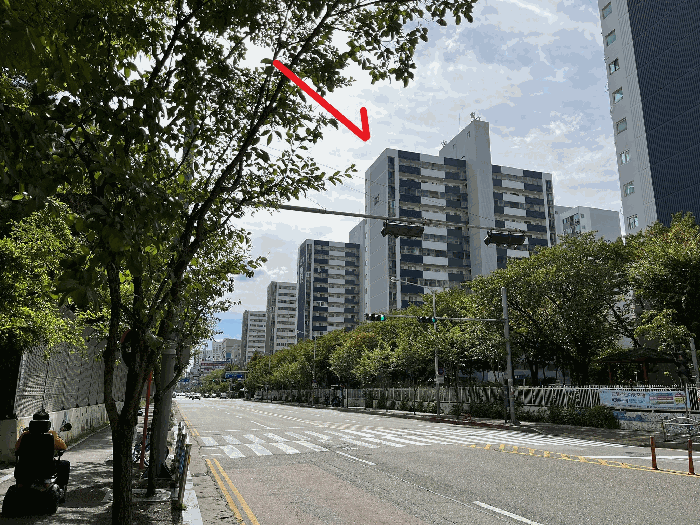 사진 6