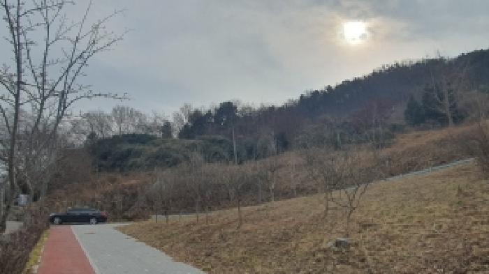 사진 1