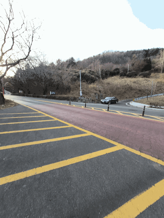 사진 10