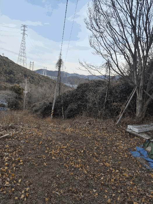 사진 11