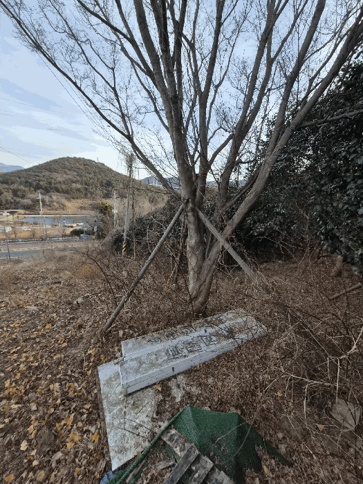 사진 12