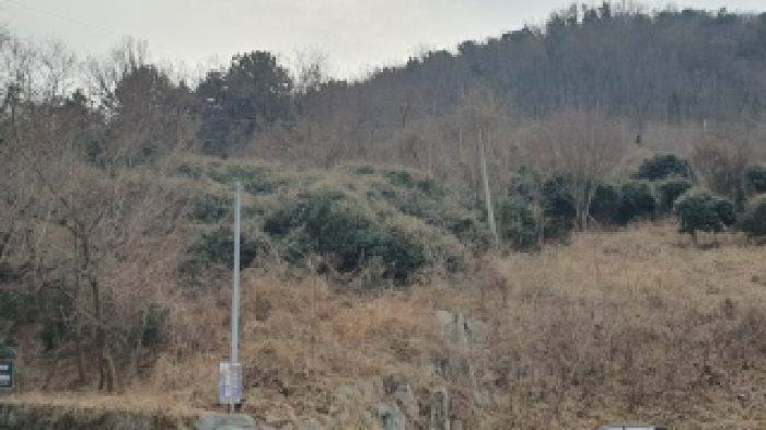 사진 2