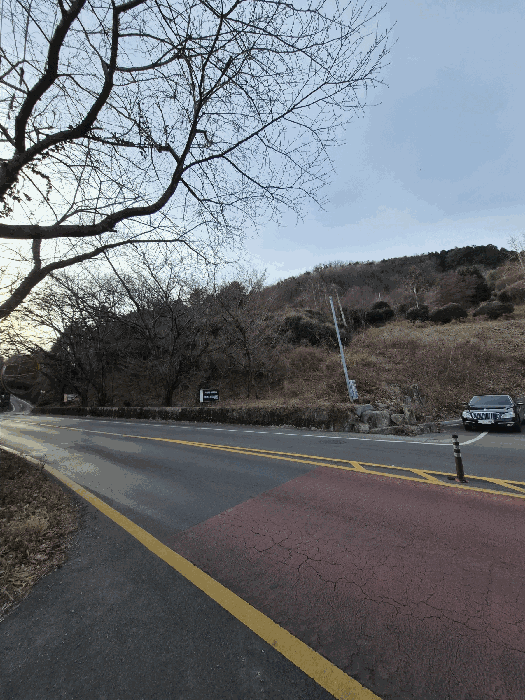 사진 7