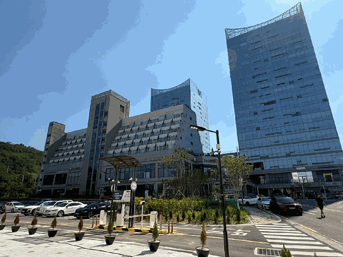 사진 6