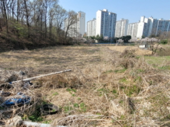 사진 10
