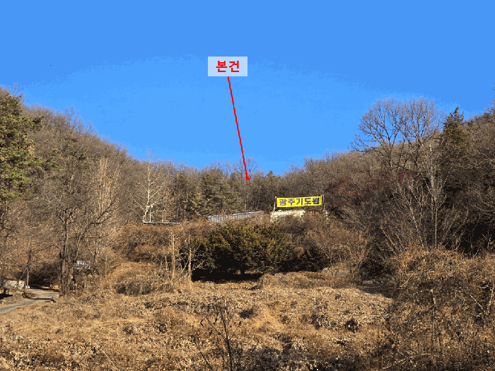 사진 5
