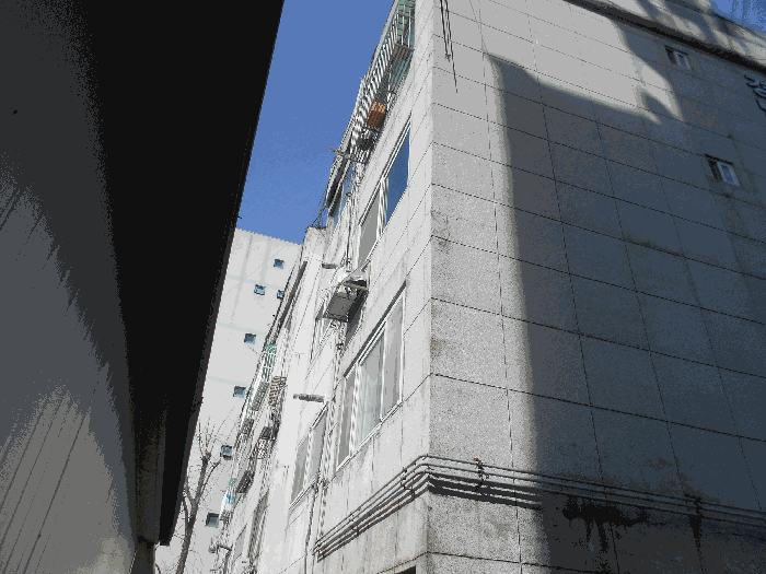 사진 9