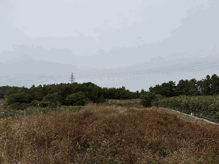 사진 1