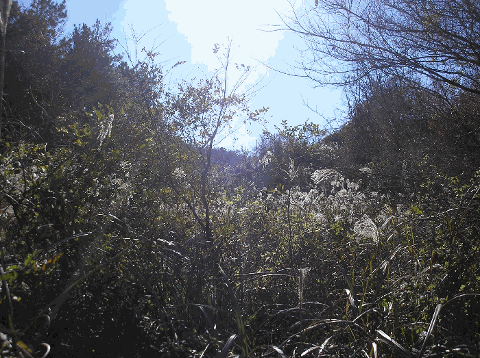 사진 9