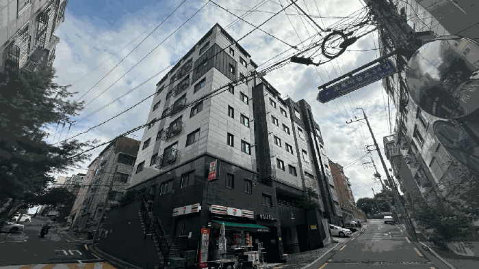 사진 10