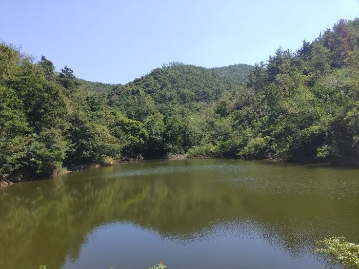사진 17