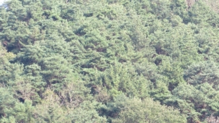 사진 6