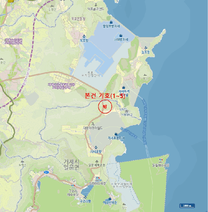 사진 11