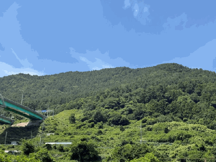 사진 14
