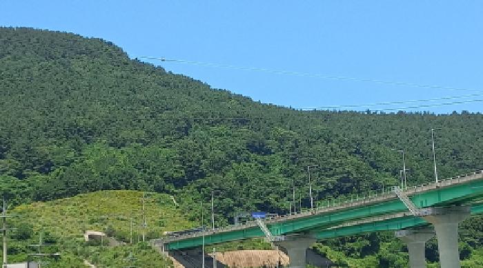 사진 2