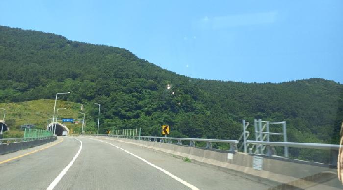 사진 3