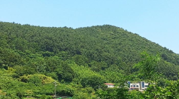 사진 6