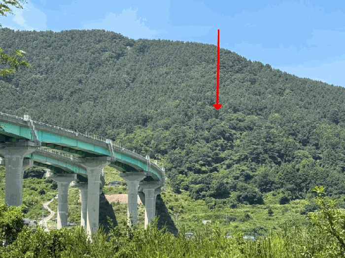 사진 9