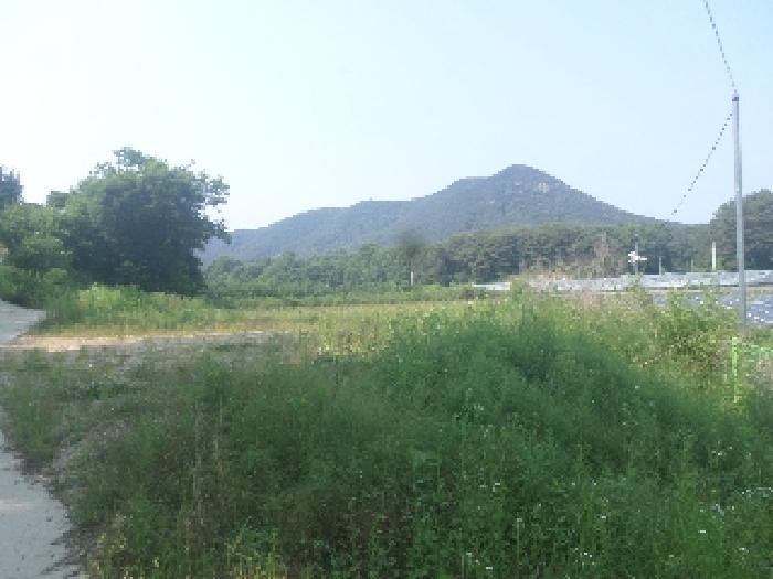 사진 1