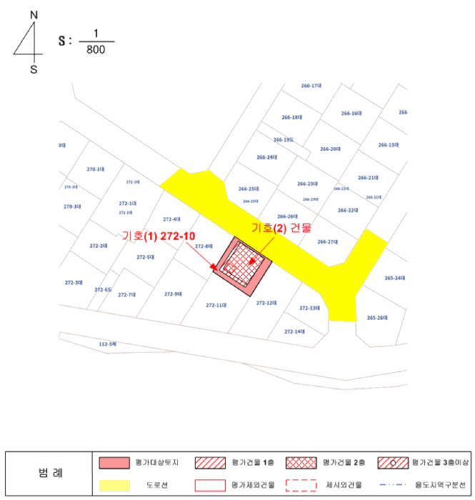 사진 10