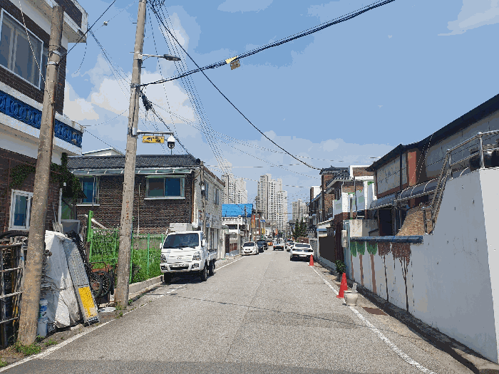 사진 15