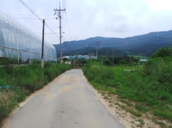 사진 10