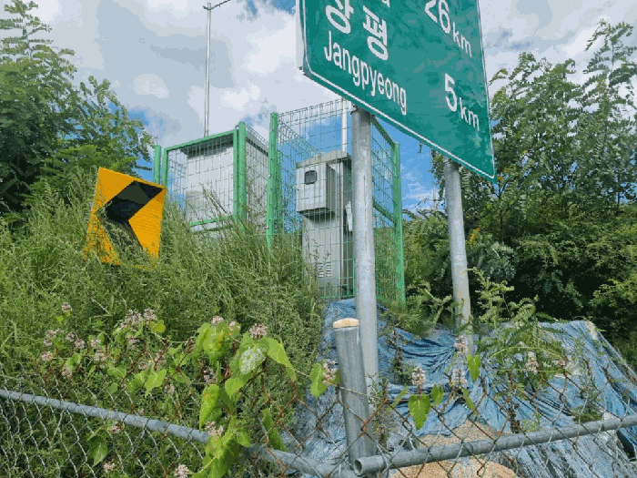 사진 6