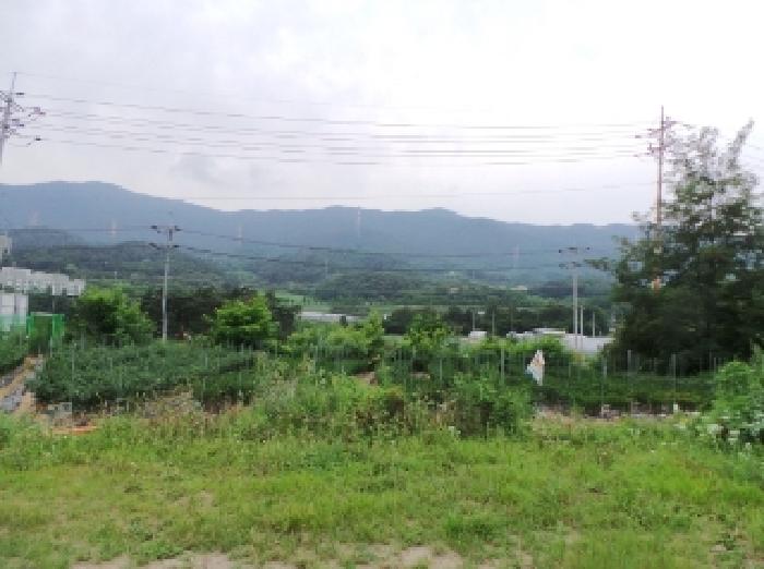 사진 9