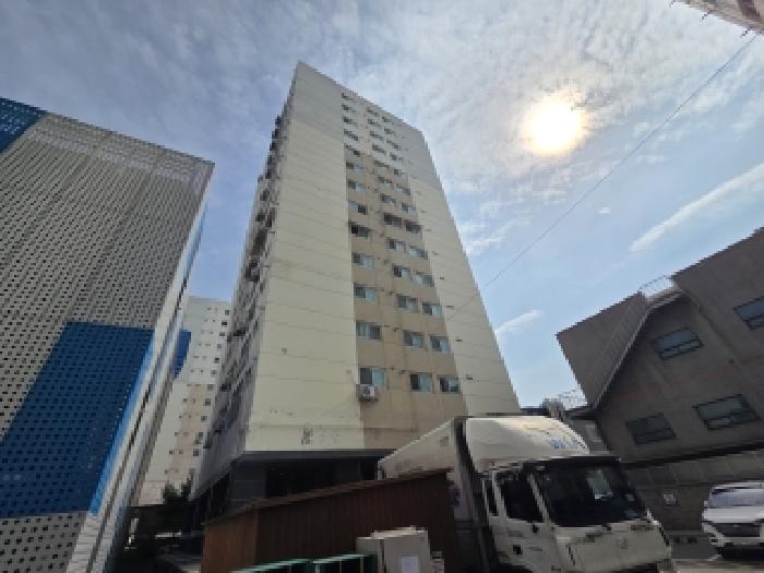 사진 2