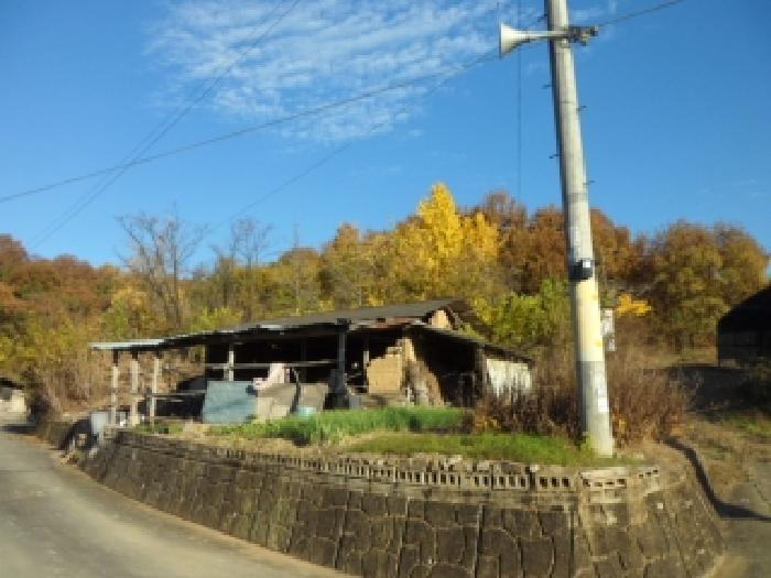 사진 2