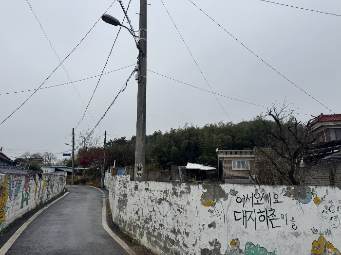 사진 1
