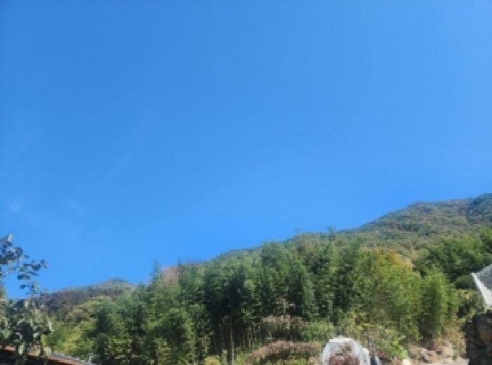 사진 1
