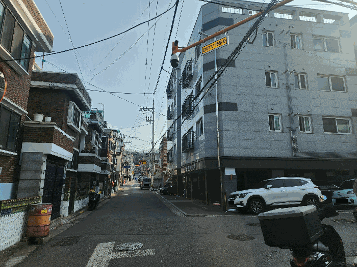사진 5