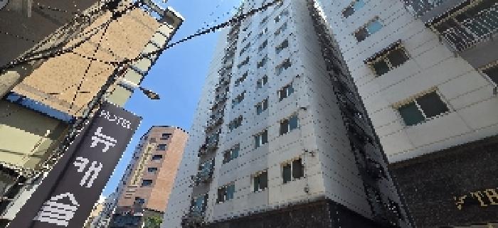 사진 2