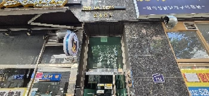 사진 5