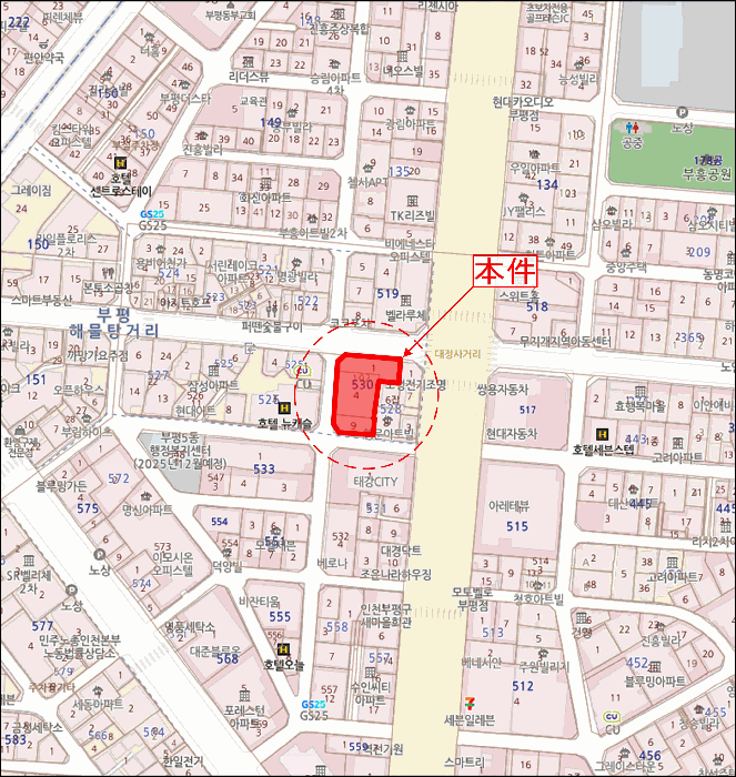 사진 8