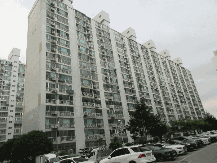 사진 3
