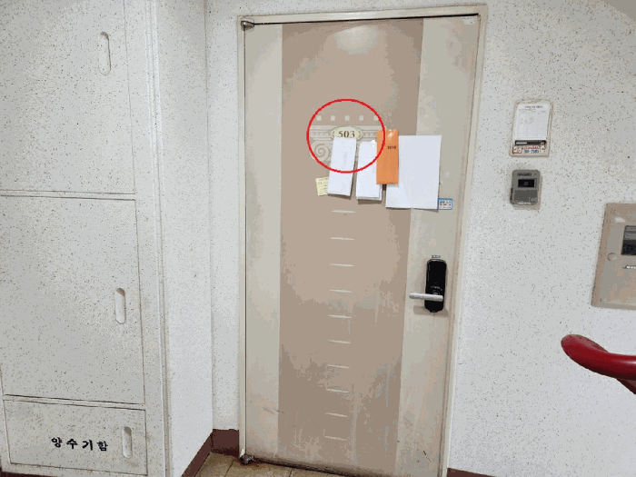 사진 11