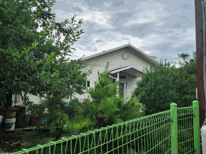 사진 10