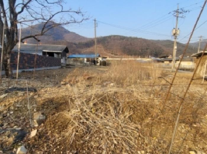 사진 10