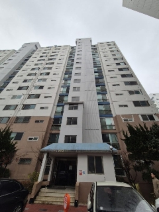 사진 5