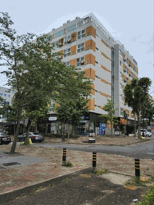 사진 1