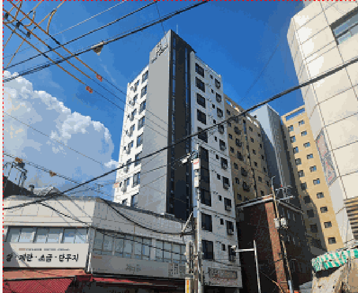 사진 5