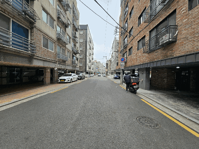 사진 15